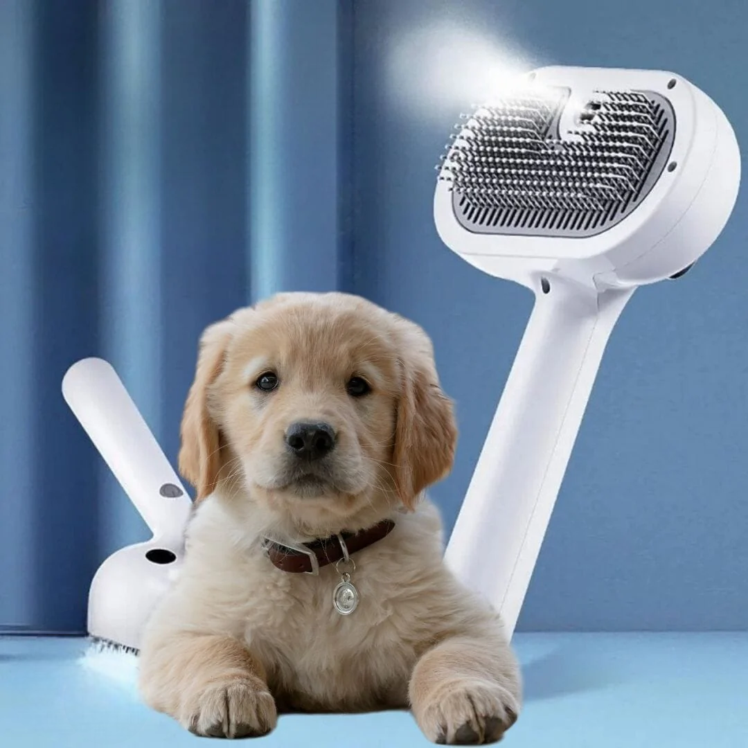 Brosse Vapeur